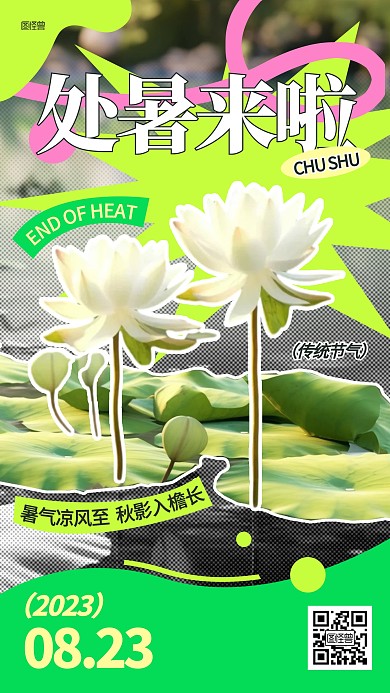 处暑传统节气荷花拼贴海报