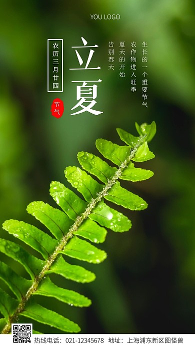 立夏的寓意科普白色简约风摄影图海报