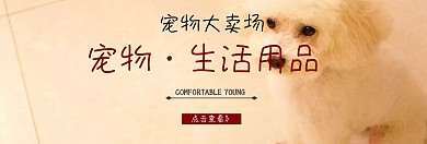 宠物乐园宠物用品海报