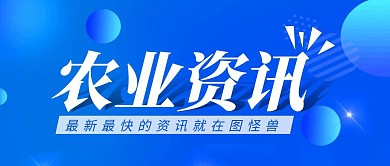 农业资讯简约彩色营销红包公众号封面