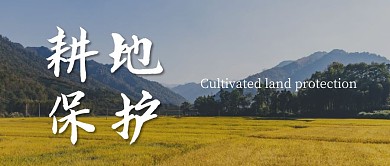 耕地保护黄色农田摄影图公众号封面首图