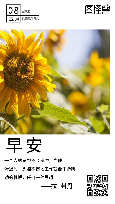 黄色向日葵行政分享早安