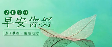 简约绿色早安你好公众号封面