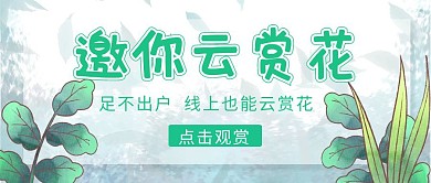 春生机简约绿色云赏花公众号封面