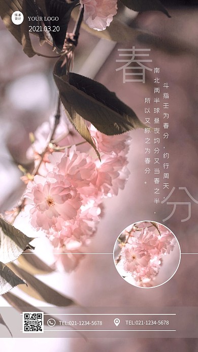 简约相册风花朵盛开春分节气日签