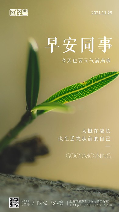 简约风摄影图同事早安问候摄影图海报