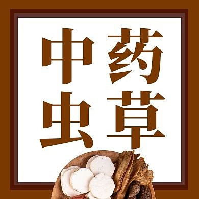 中药虫草棕色几何公众号封面