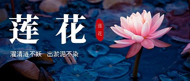 莲花宣传简约科普知识介绍公众号首图