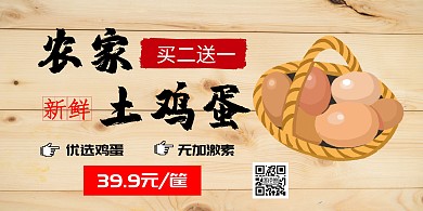 手指横版农家土鸡蛋海报