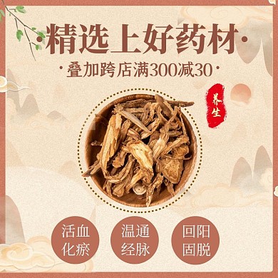 电商淘宝年货节冬季滋补药材直通车