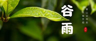 绿色简约谷雨时节诗词公众号封面