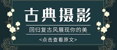 古典摄影促销打折公众号封面淡泊	