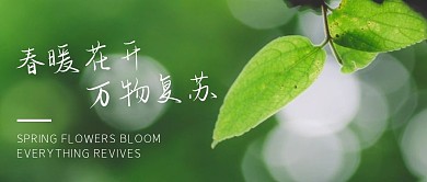 摄影绿叶春季春暖花开公众号封面