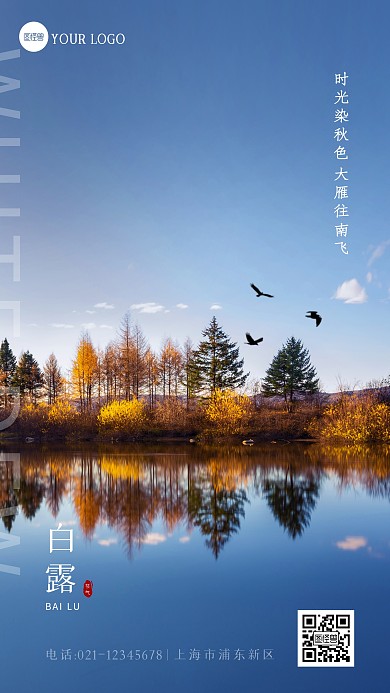 简约大气白露节气祝福问候摄影图海报