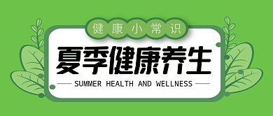 夏季健康养生简约绿色小清新公众号封面首图