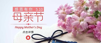 母亲节康乃馨感恩有你公众号封面