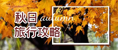 秋天旅行攻略指南枫叶秋日公众号封面首图