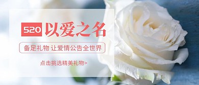 清新摄影风玫瑰520表白日公众号封面首图