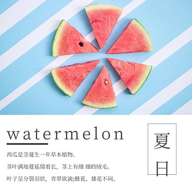 红色摄影夏季西瓜促销公众号配图