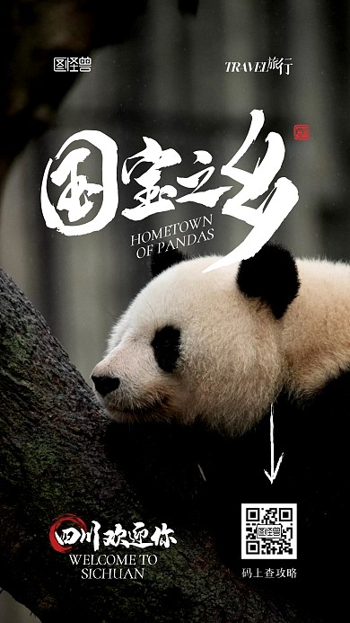 熊猫家乡四川旅游出行摄影图手机海报
