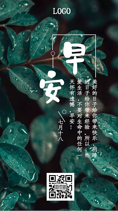 早安夏雨绿色树叶摄影日签
