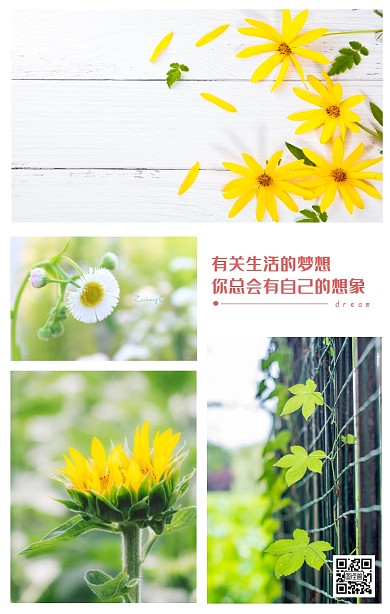 小清新照片竖版拼图四宫格