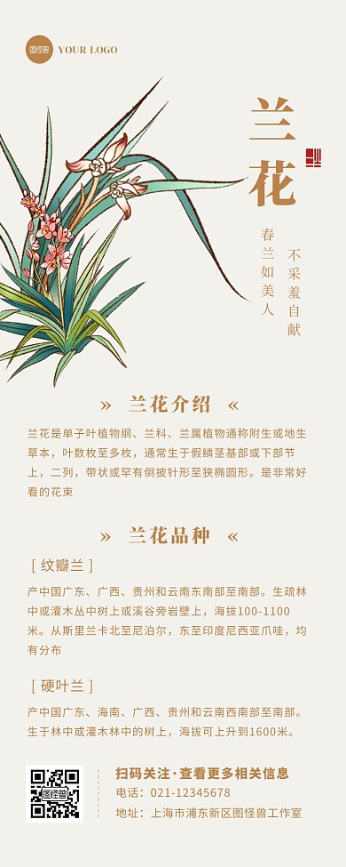 中国风手绘兰花植物介绍宣传营销长图