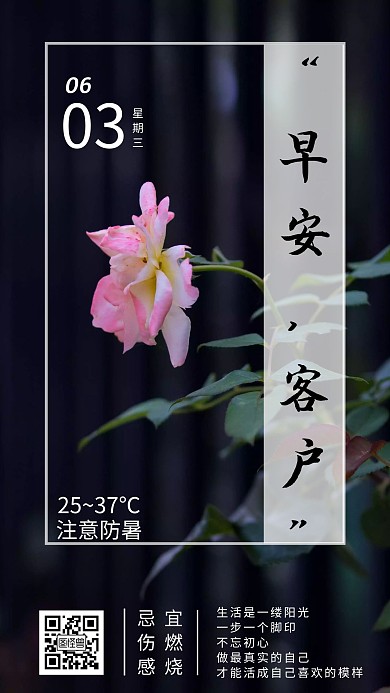 黑色荷花早安客户日签