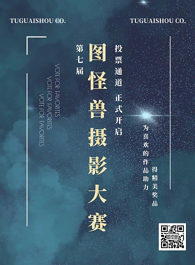 简约大气摄影比赛作品投票海报