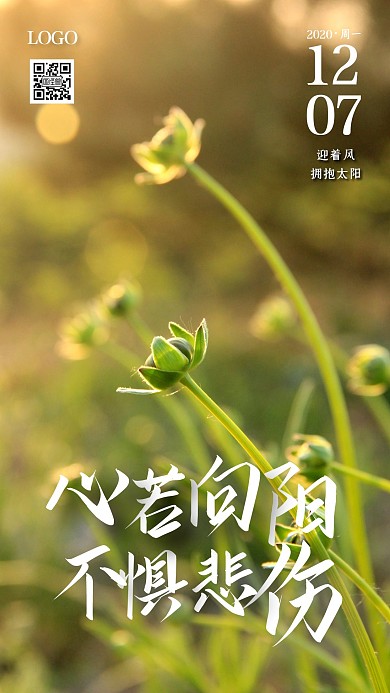 摄影周一健康阳光红包推广励志早安日签