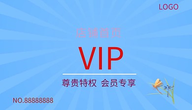 店铺首页vip