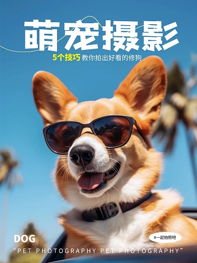 萌宠宠物摄影技巧分享AIGC小红书封面