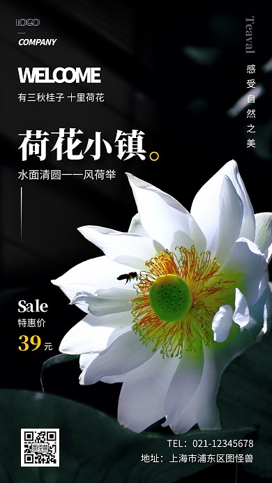 荷花小镇简约摄影图手机营销海报
