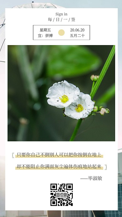 简约早安问候野花图片二维码日签