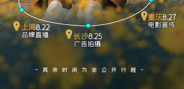 简约摄影风明星网红爱豆行程海报
