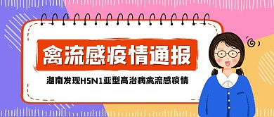 湖南邵阳H5N1禽流感疫情通报公众号封面