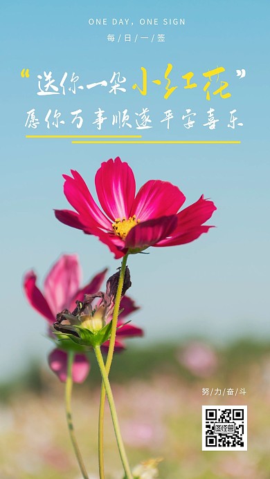 简约摄影早安送你一朵小红花励志美好日签