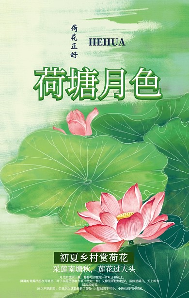 初夏乡村荷塘月色海报