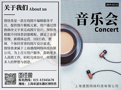 扁平简约音乐会宣传折页
