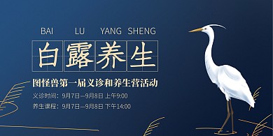 质感蓝白露养生义诊活动横版海报