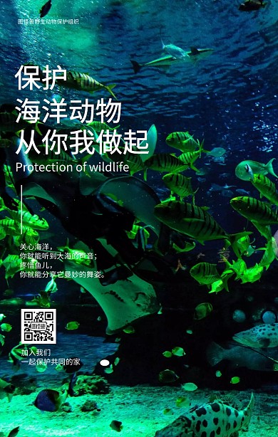 保护海洋动物环保宣传手机海报