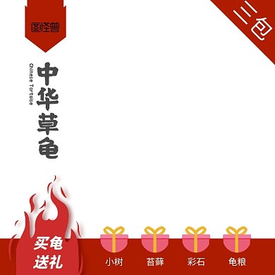 电商小乌龟主图中华草龟