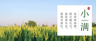 小满节气绿色清新文艺公众号头图