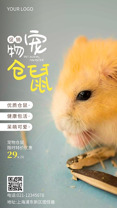 宠物仓鼠褐色简约风摄影图海报