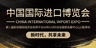 2019商务风进口博览会宣传横版海报