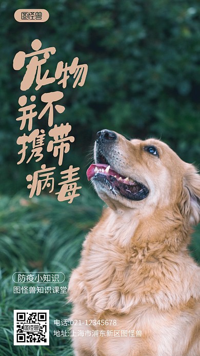 宠物不携带病毒简约宣传摄影图海报