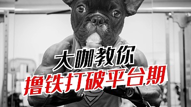 摄影风简约健身撸铁视频封面