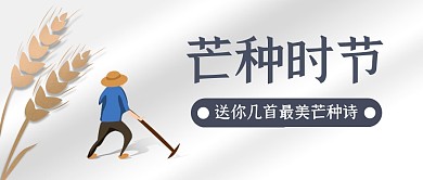 简约芒种时节公众号封面首图