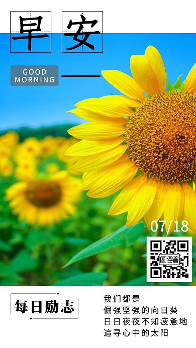 早安问候励志背景图清新简单向日葵日签