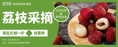 荔枝果园采摘优惠券创意绿色入场券